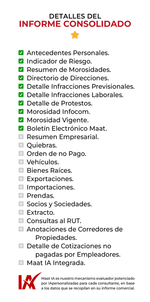 Detalles del Informe Consolidado - Informe Comercial tipo 